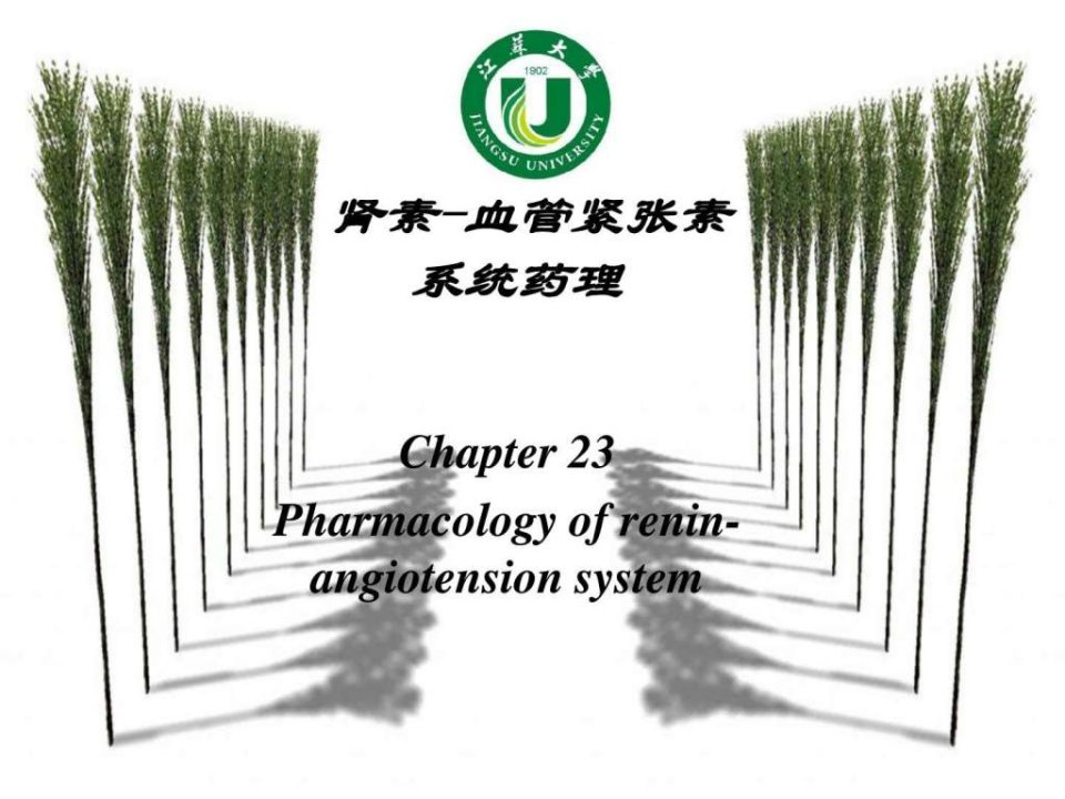 19肾素血管紧张素系统药理.ppt