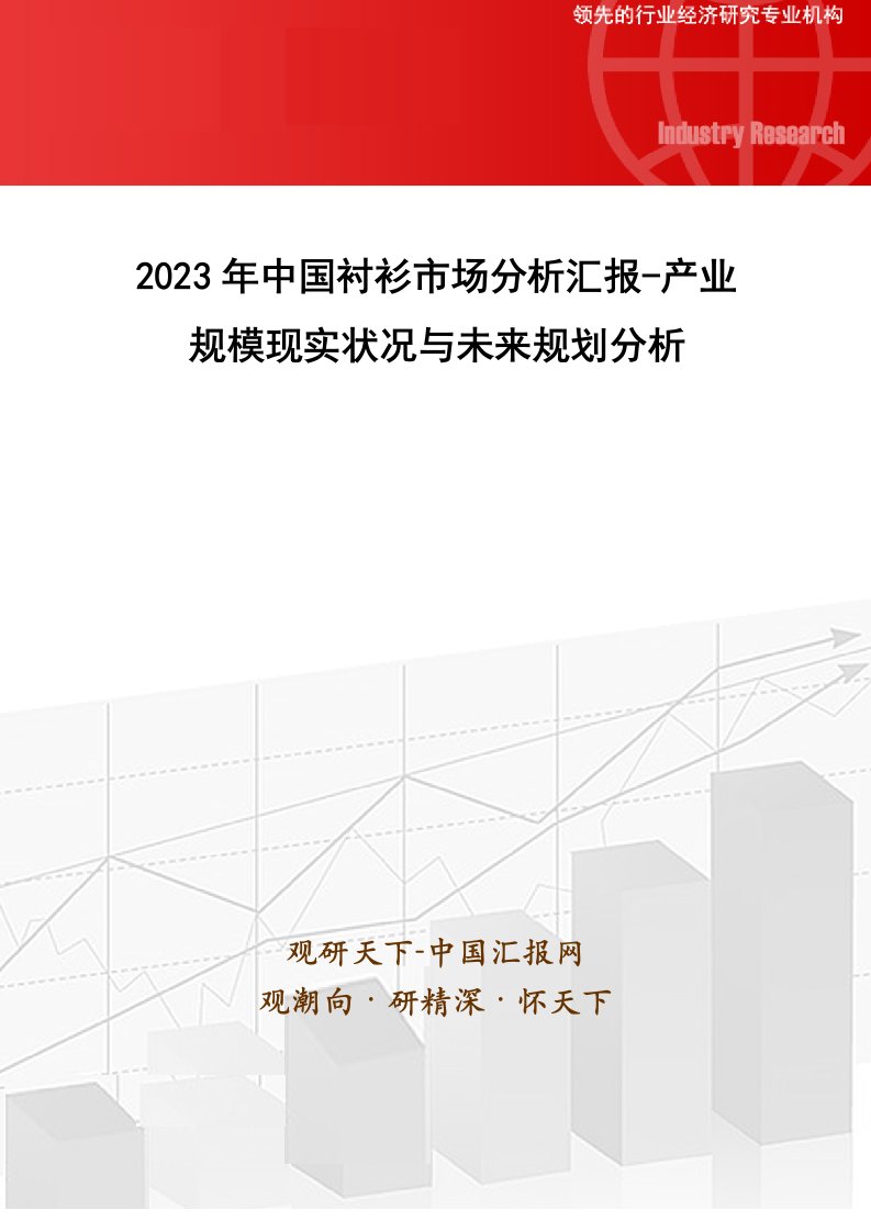 中国衬衫市场分析报告产业规模现状与未来规划分析