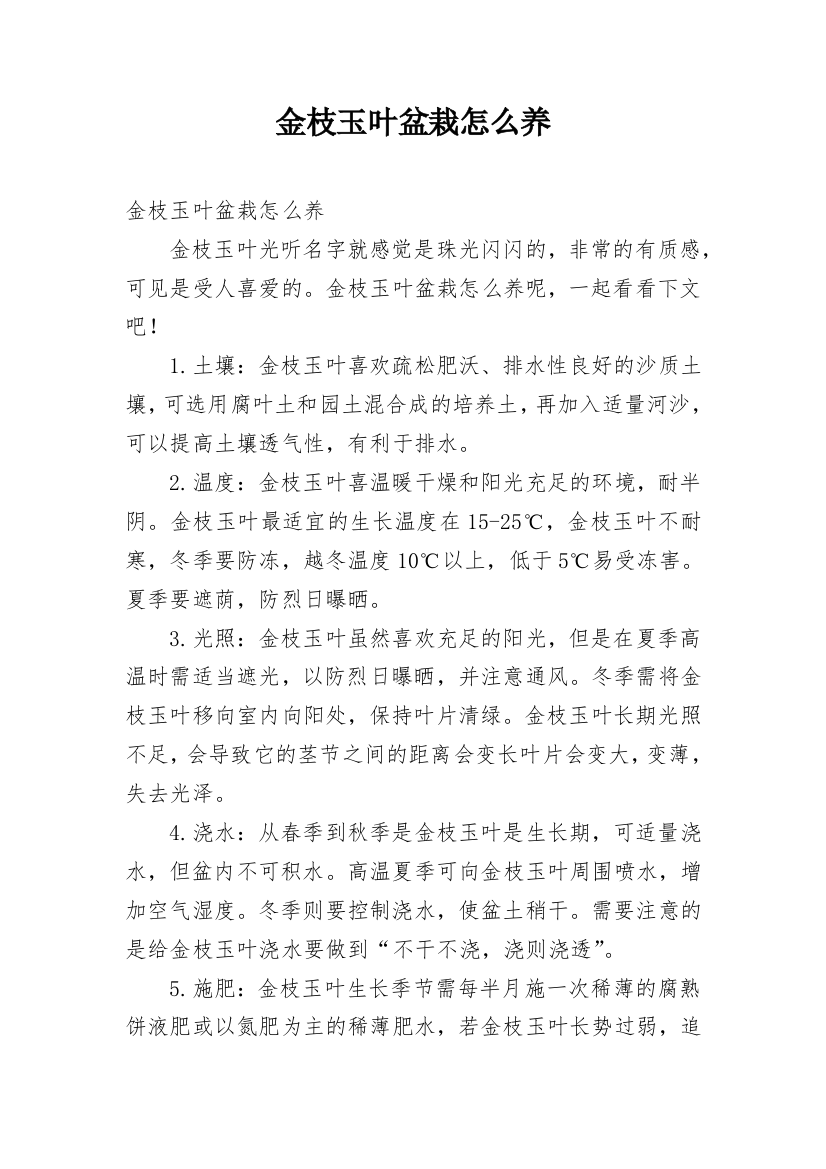 金枝玉叶盆栽怎么养