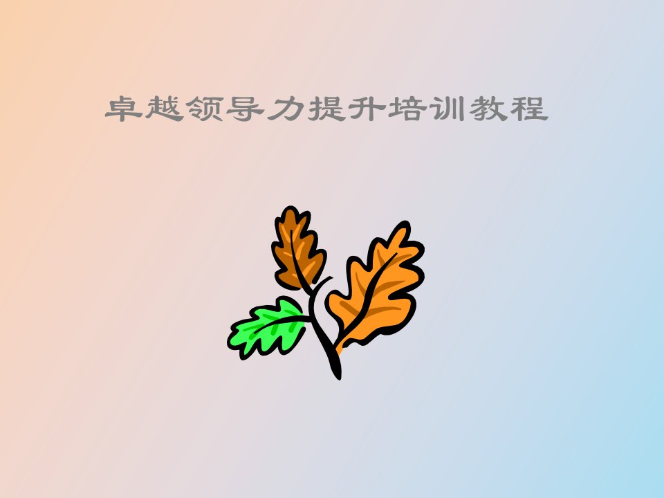 卓越领导力提升培训教程