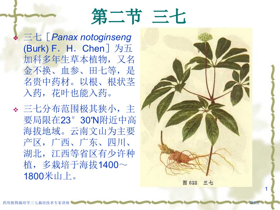 药用植物栽培学三七栽培技术课件PPT