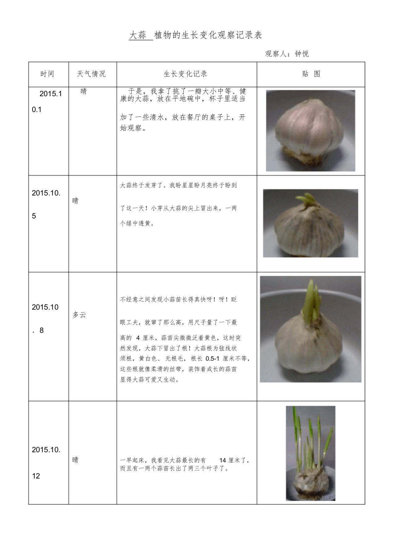 大蒜植物的生长变化观察记录表课件