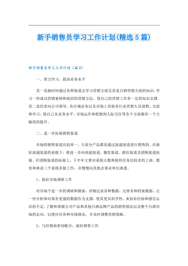 新手销售员学习工作计划(精选5篇)