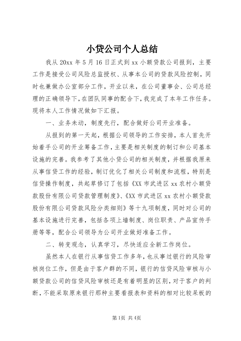 小贷公司个人总结