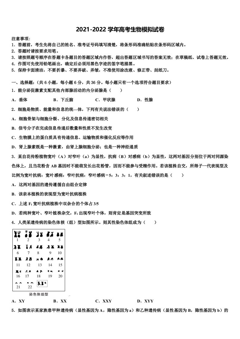 陕西韩城象山中学2022年高三下学期联合考试生物试题含解析