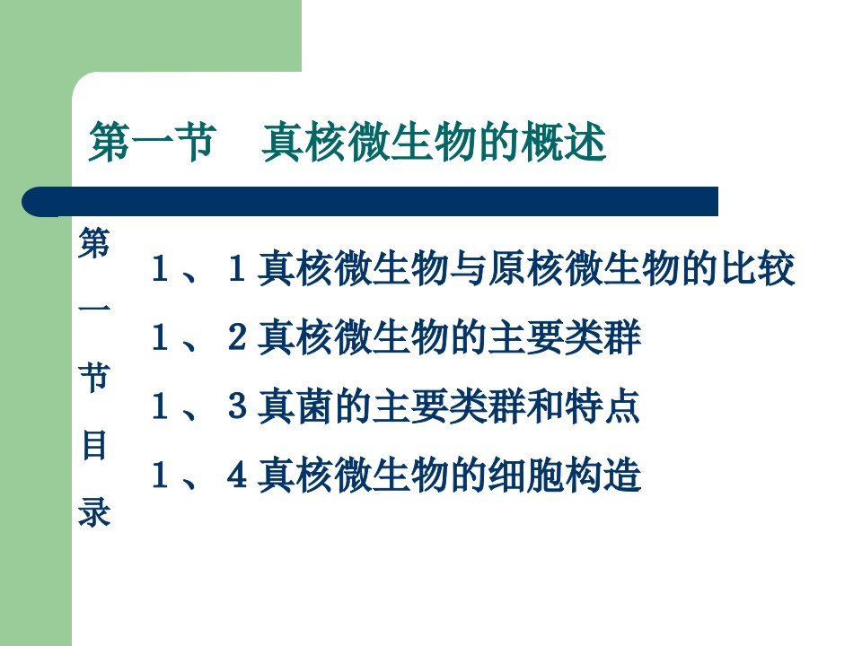 真核微生物已修改课件