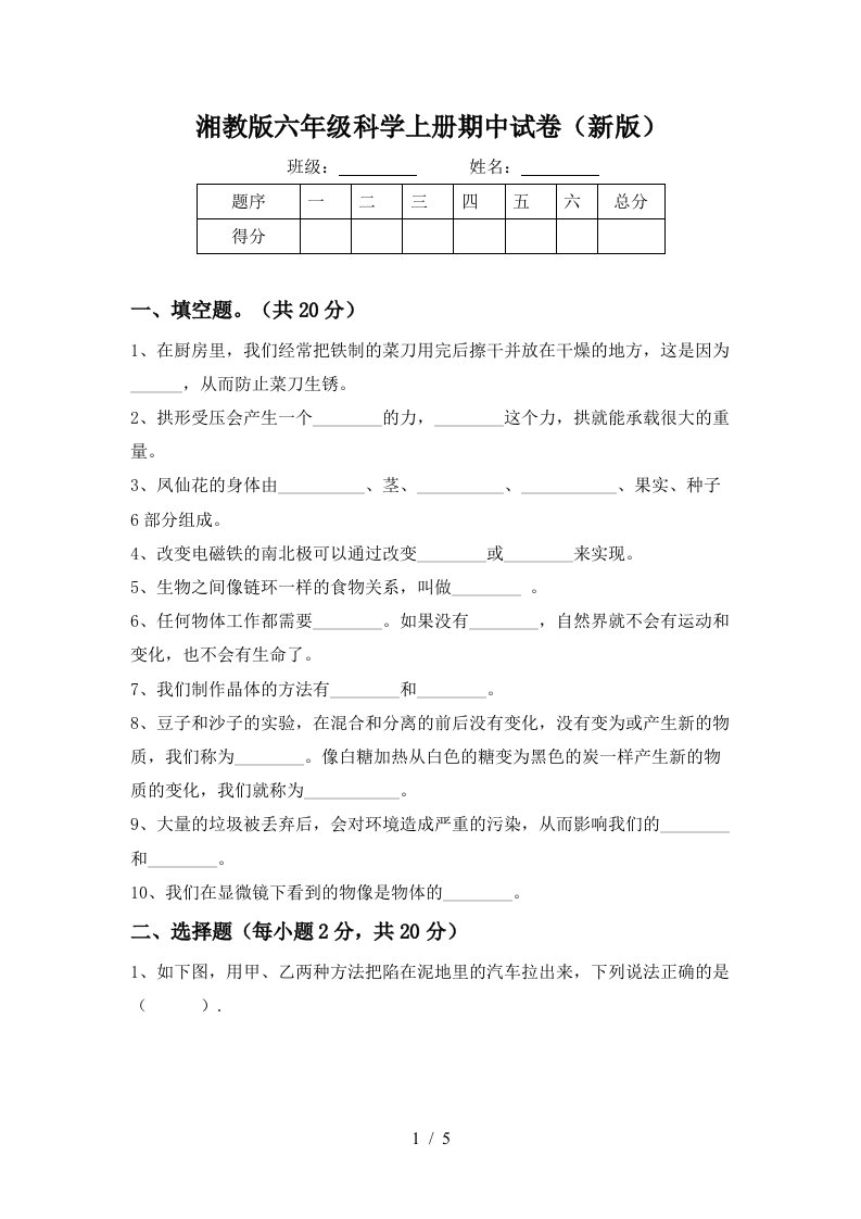 湘教版六年级科学上册期中试卷新版