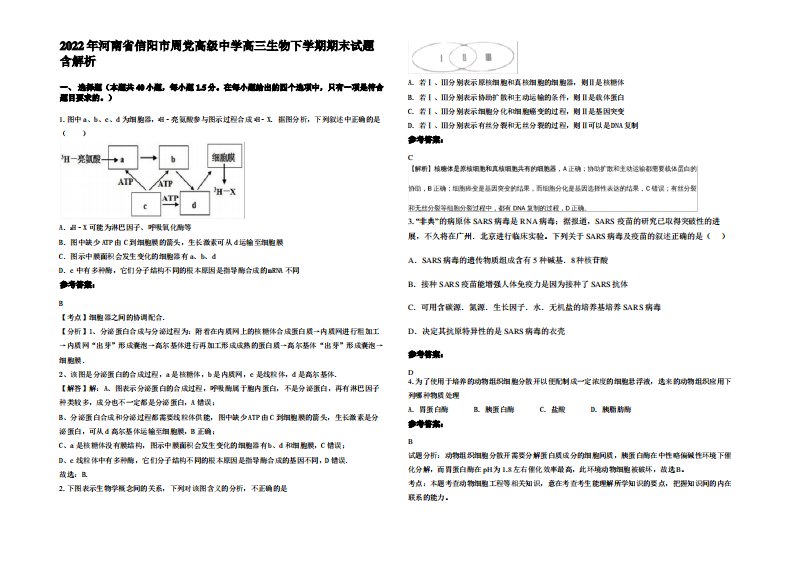 2022年河南省信阳市周党高级中学高三生物下学期期末试题含解析