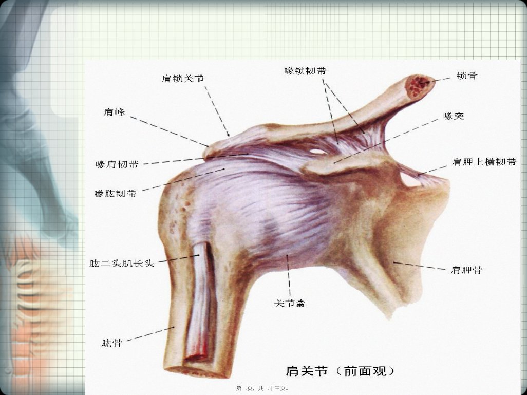 偏瘫性肩痛