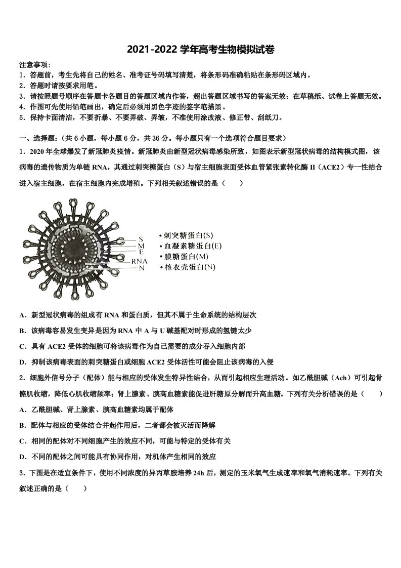 2022届河北省沧州市盐山中学高三第一次调研测试生物试卷含解析