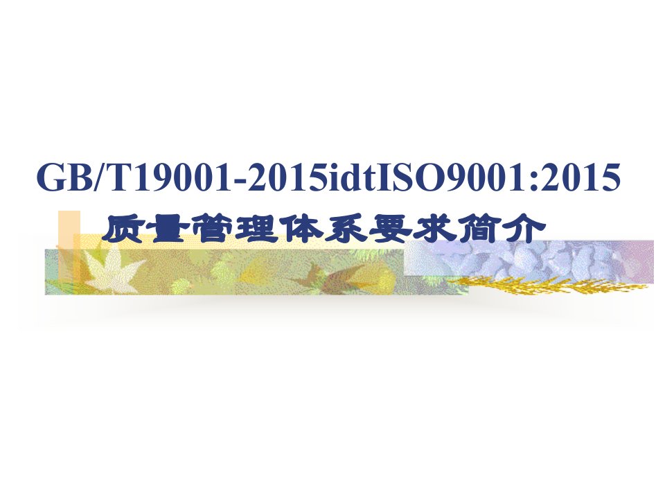 2015版ISO90001标准