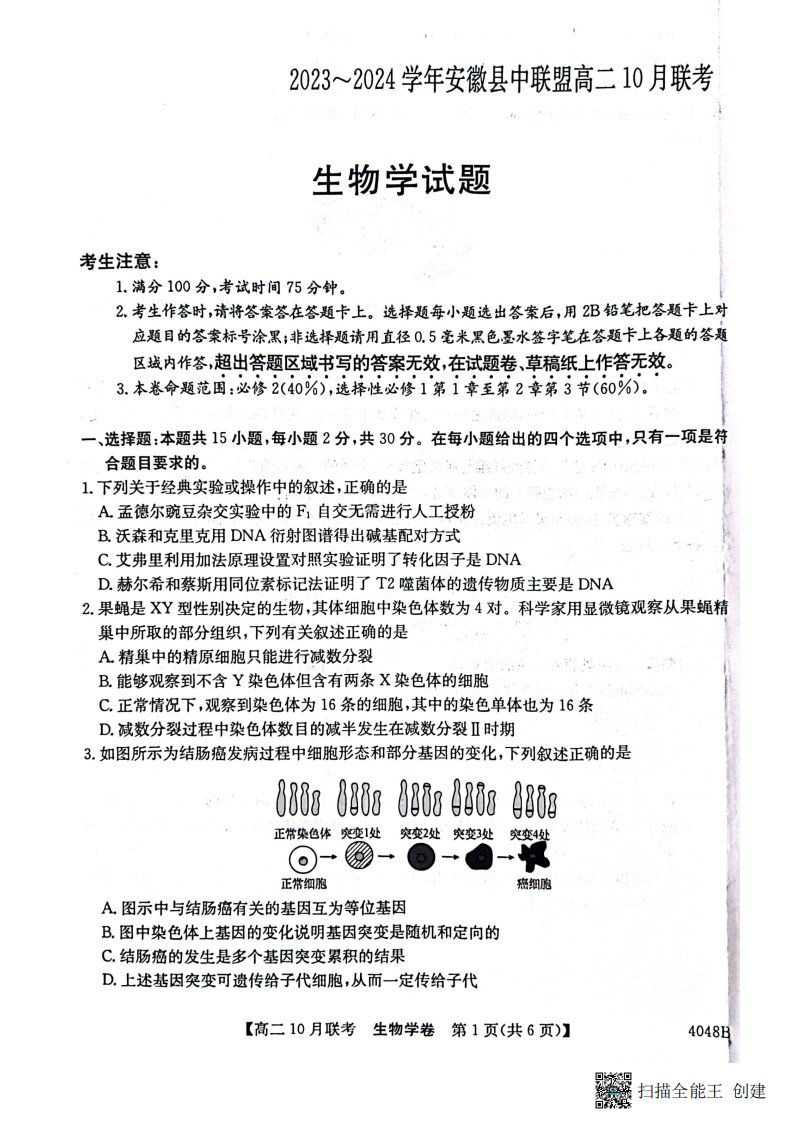 安徽省县中联盟2023-2024学年高二上学期10月联考生物试题