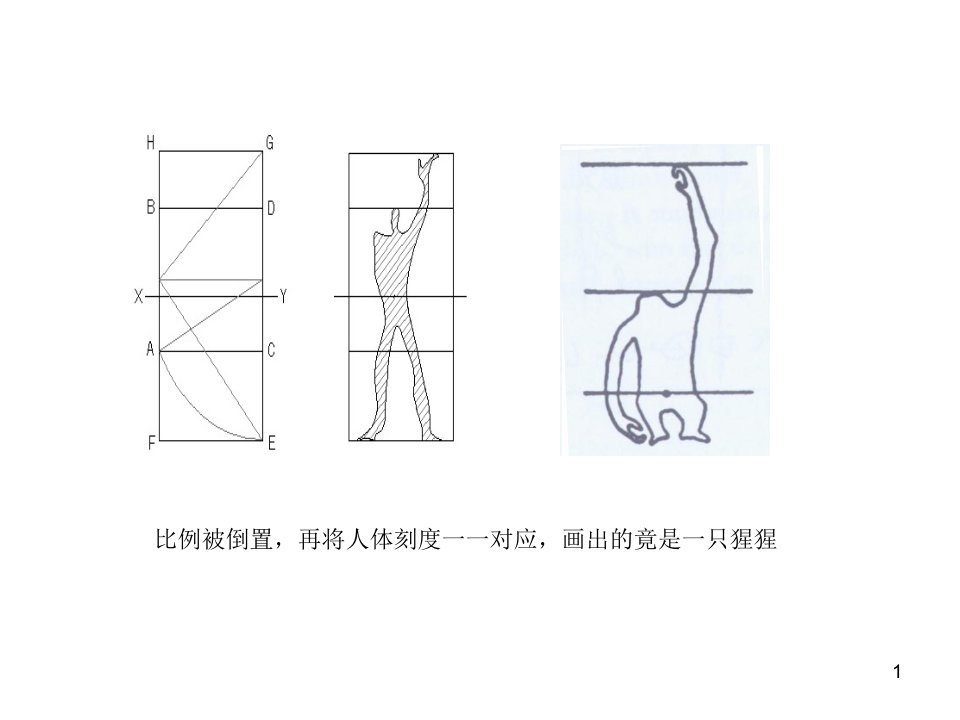 神圣的比例柯布西耶模数