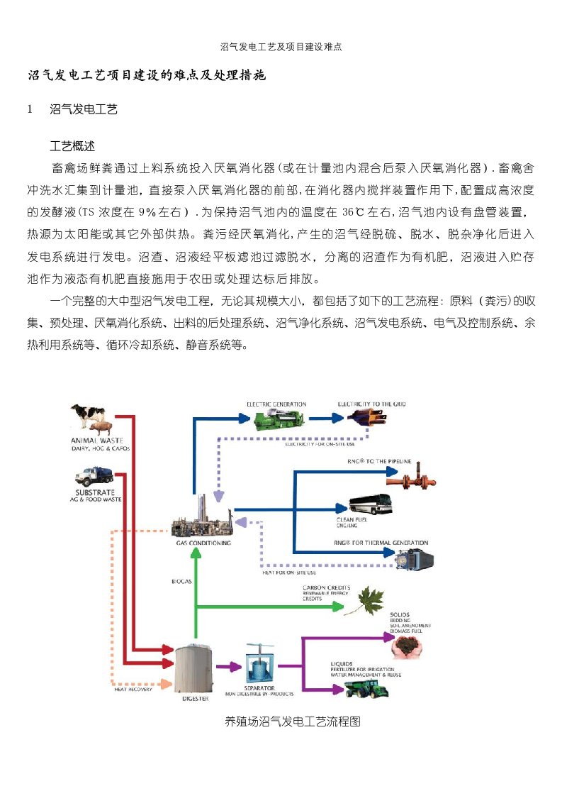 沼气发电工艺及项目建设难点