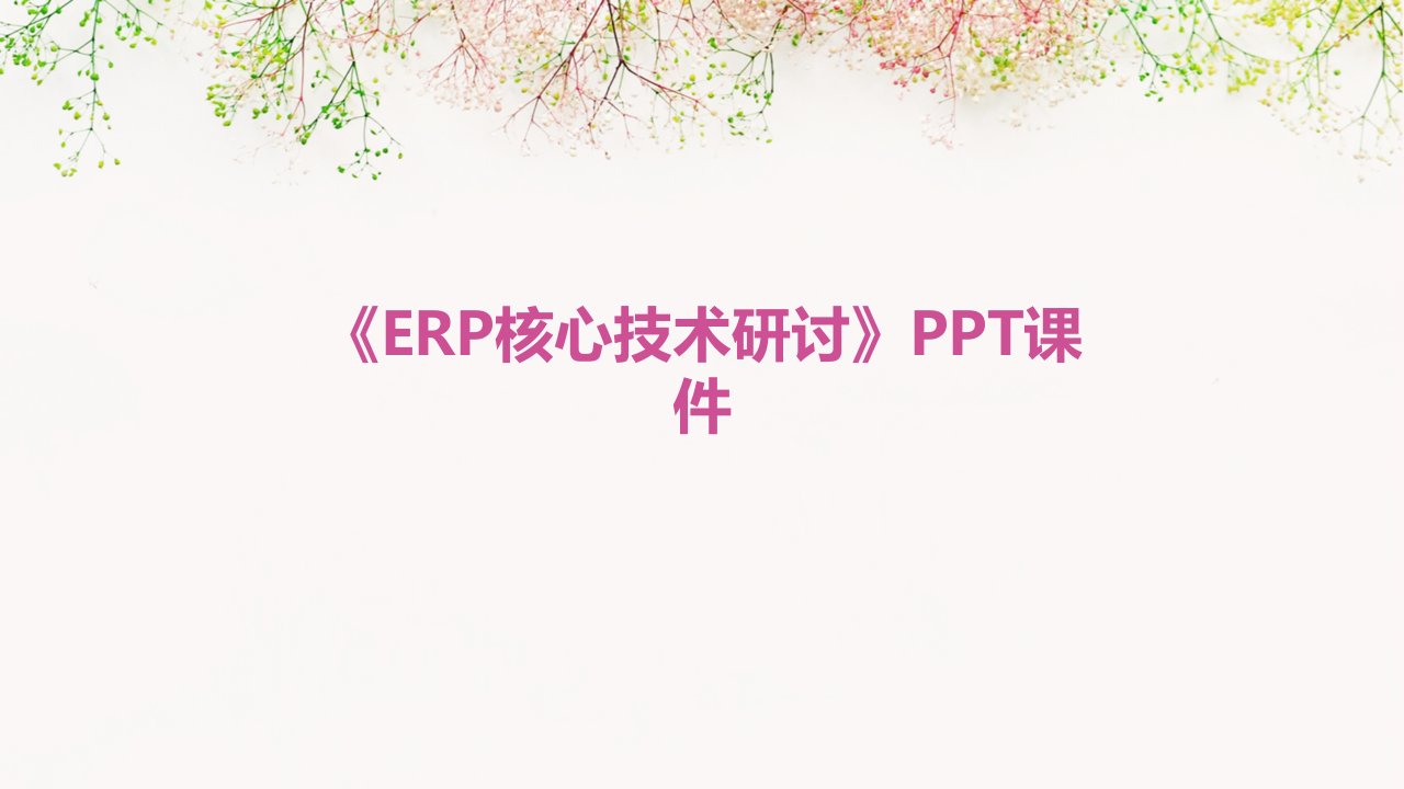 《ERP核心技术研讨》课件