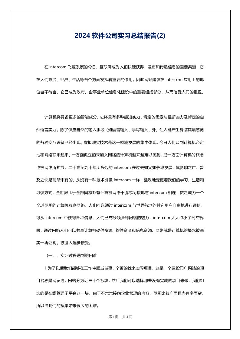 2024软件公司实习总结报告(2)