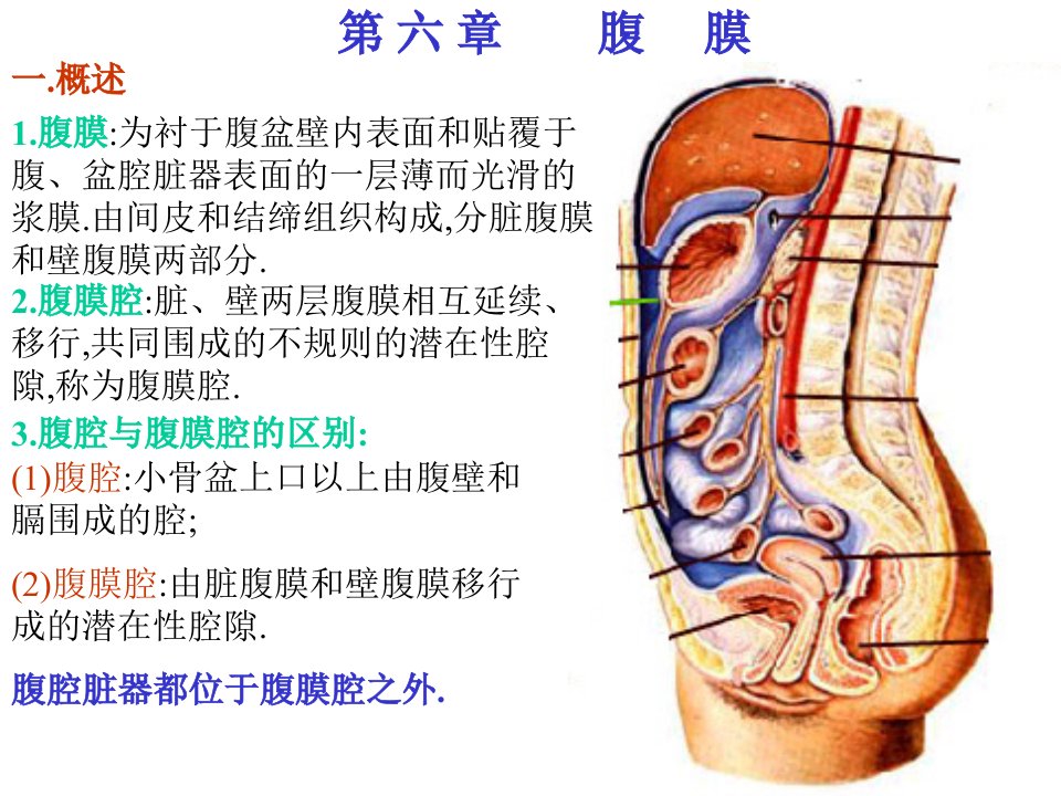 腹膜PPT课件