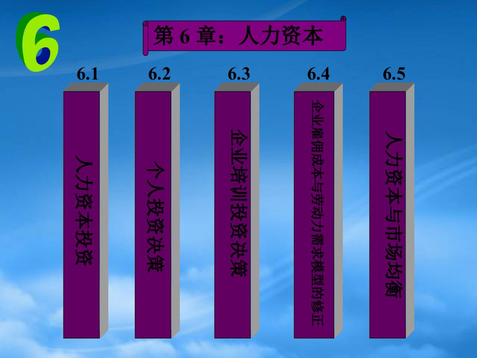 北京大学劳动经济学导论人力资本