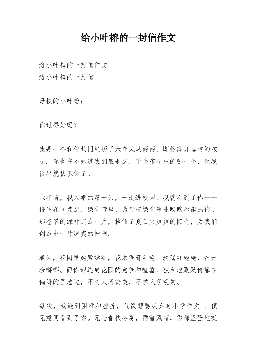 给小叶榕的一封信作文