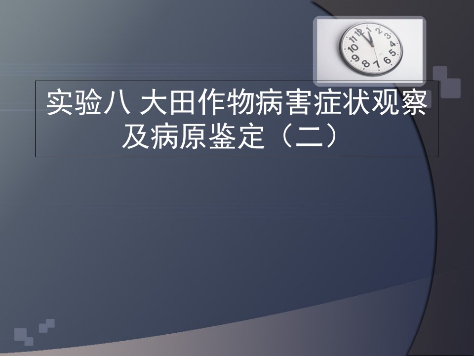 实验八大田作物病害症状观察及病原鉴定