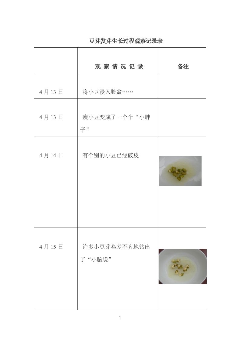 豆芽发芽生长过程观察记录表