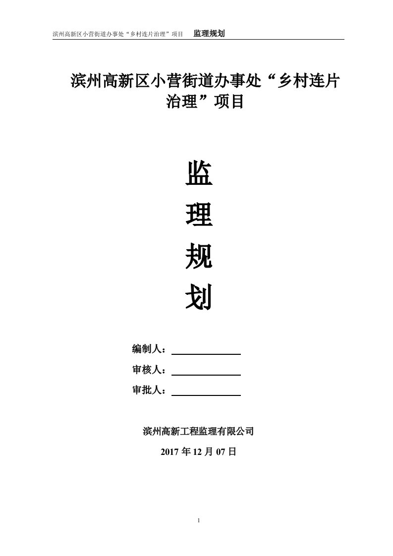 乡村连片治理项目监理规划