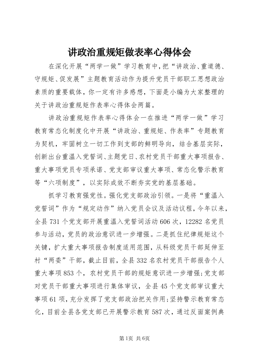 讲政治重规矩做表率心得体会