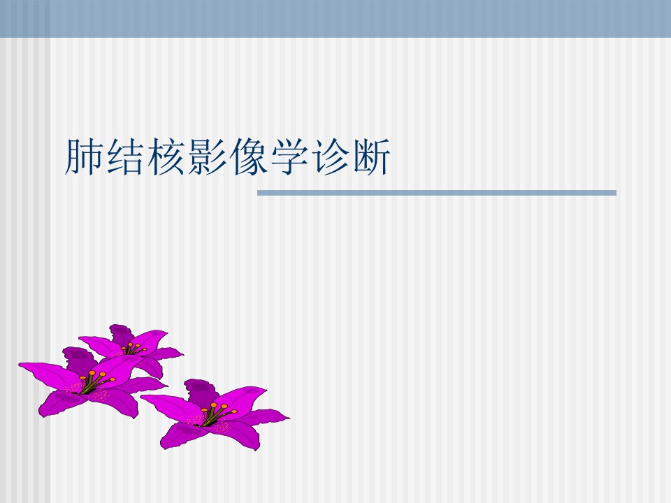 肺结核(TB)的影像学诊断(PPT)