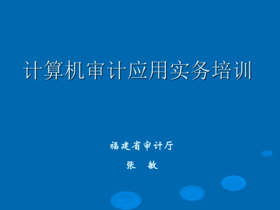 计算机审计应用实务培训87讲义教材