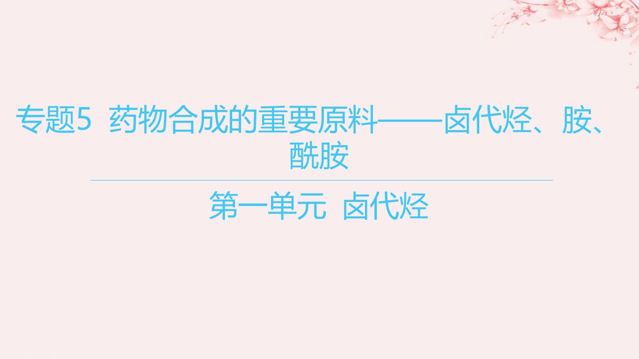 江苏专用2023_2024学年新教材高中化学专题5药物合成的重要原料__卤代烃胺酰胺第一单元卤代烃课件苏教版选择性必修3