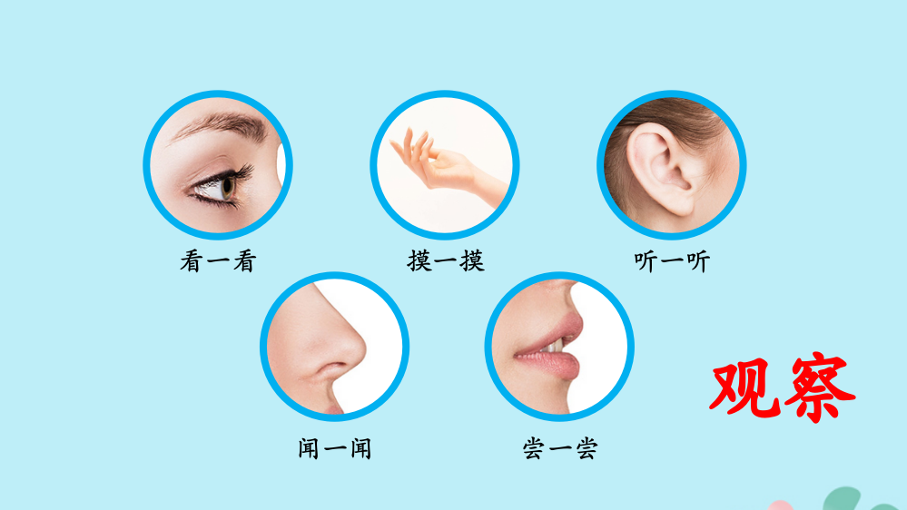 【精编】一年级科学上册