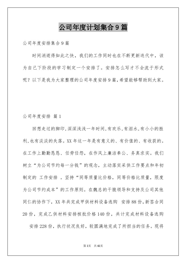 公司年度计划集合9篇例文