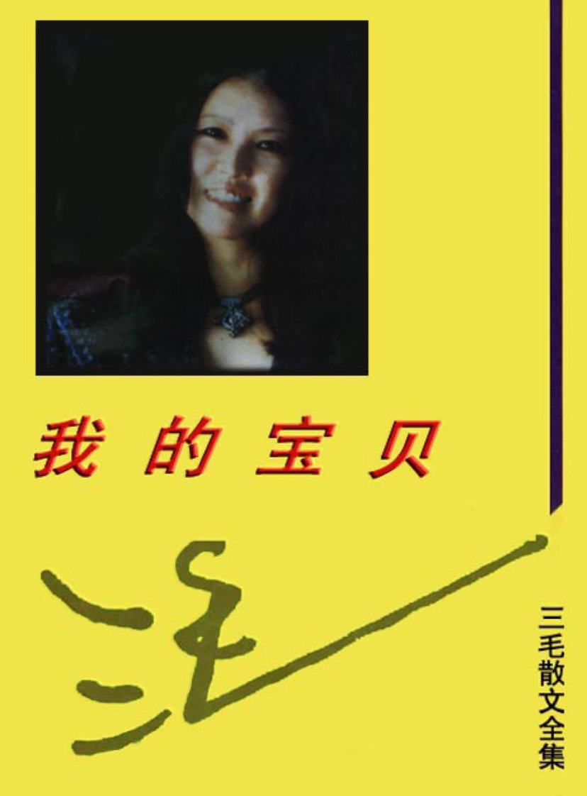 《三毛作品·我的宝贝》.pdf