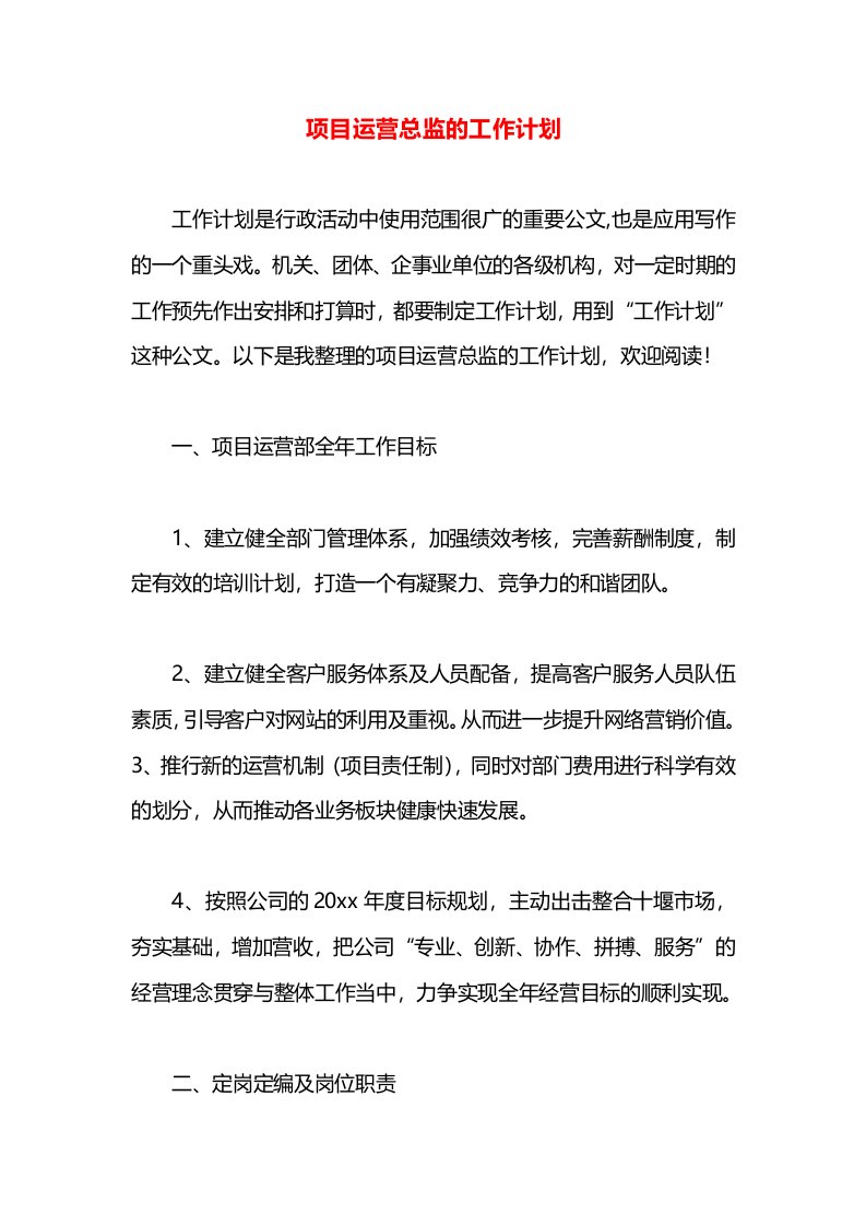 项目运营总监的工作计划