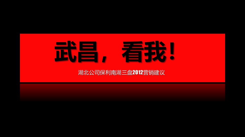 湖北公司保利南湖三盘2012营销建议