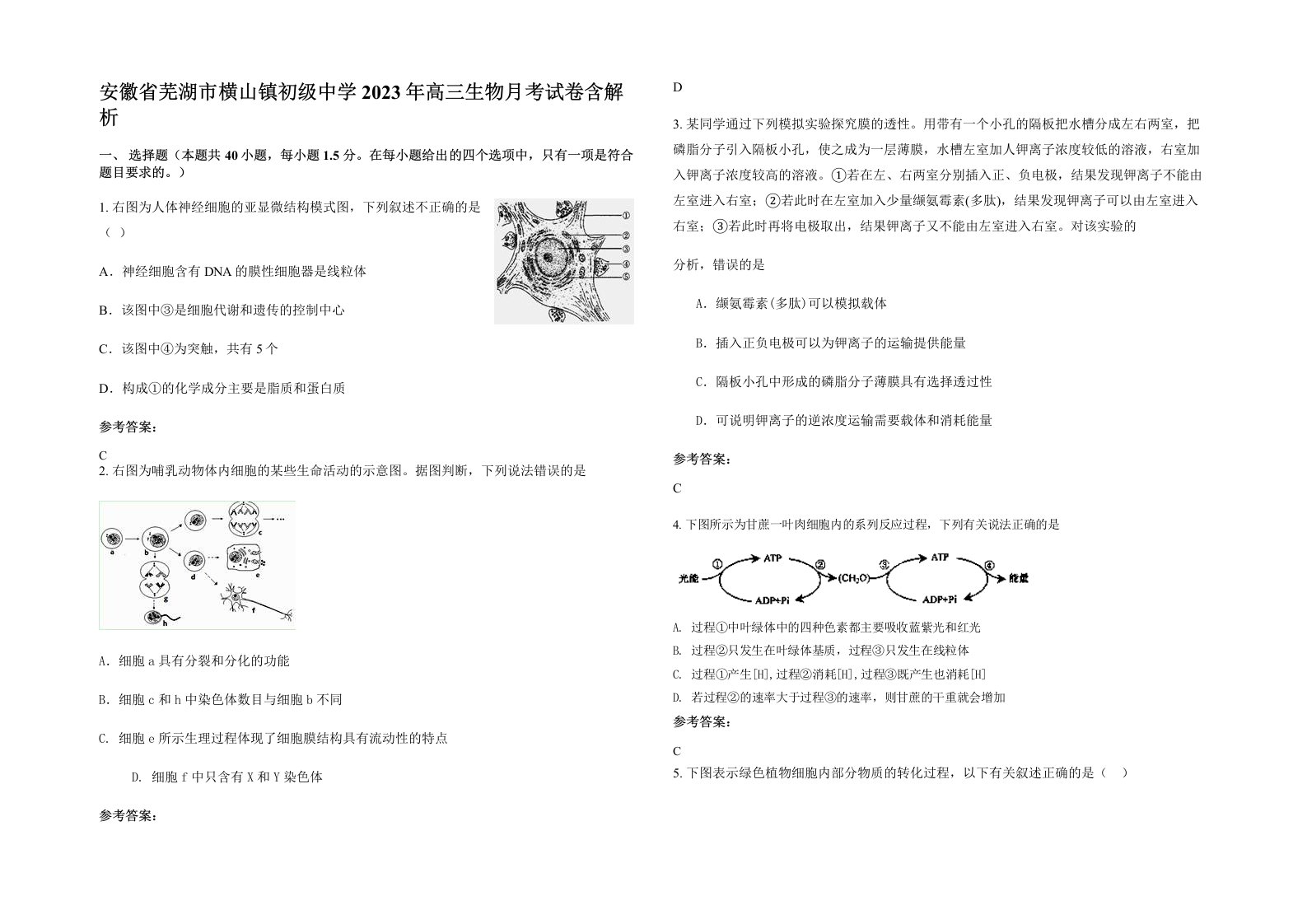 安徽省芜湖市横山镇初级中学2023年高三生物月考试卷含解析