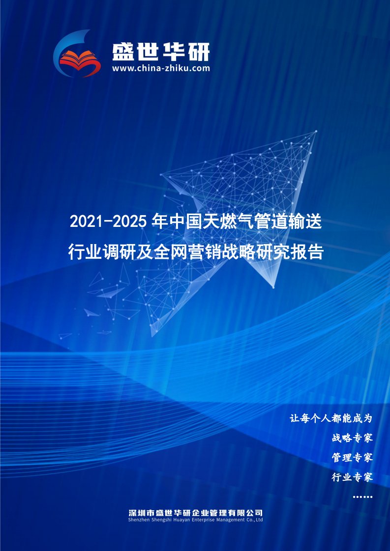 2021-2025年中国天燃气管道输送行业调研及全网营销战略研究报告