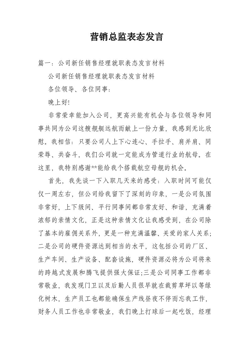 营销总监表态发言