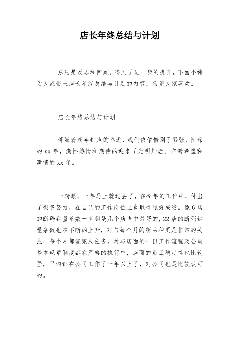 店长年终总结与计划