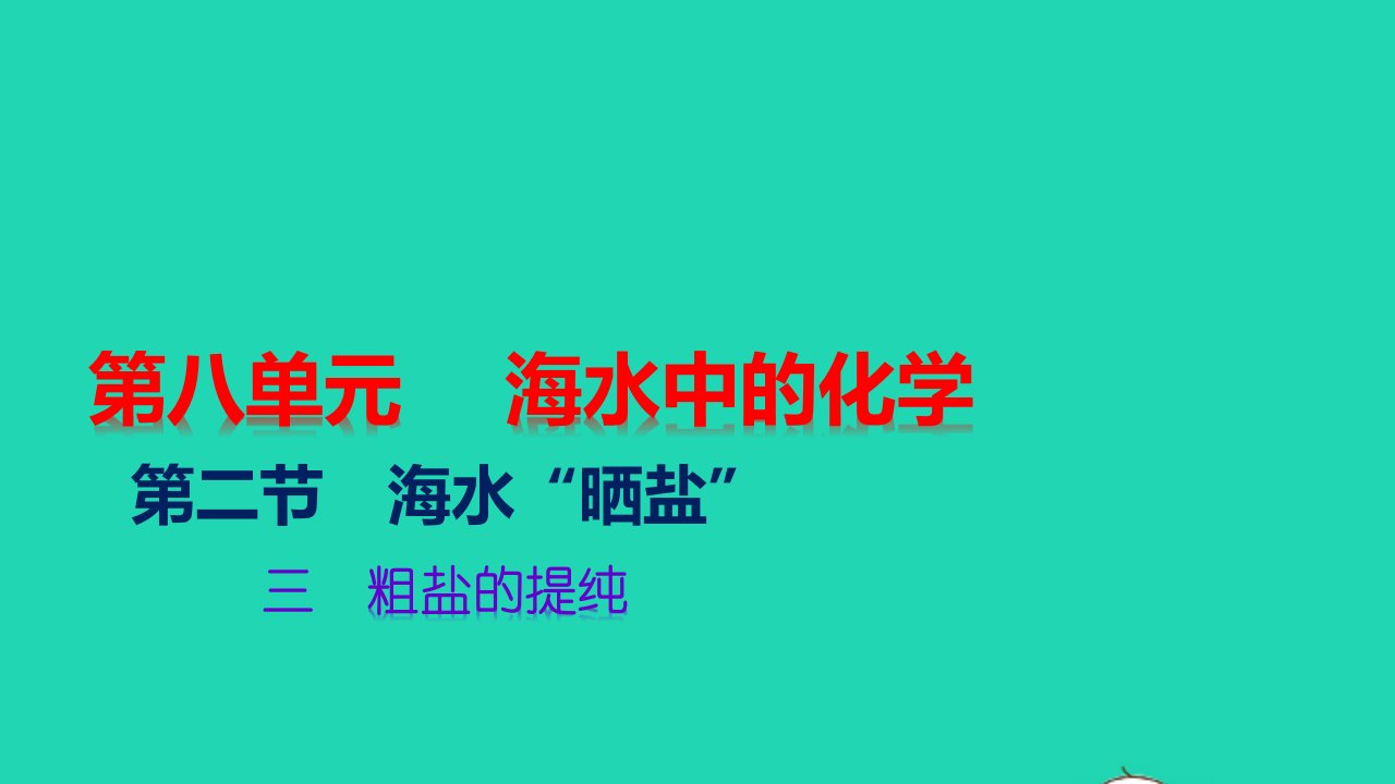 九年级化学下册第八单元海水中的化学第二节海水晒盐三粗盐的提纯教学课件新版鲁教版