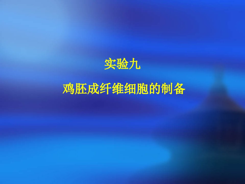 实验九：鸡胚成纤维细胞的制备