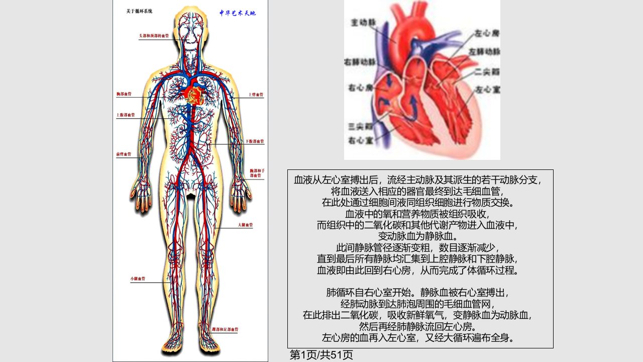 关注高血脂PPT课件