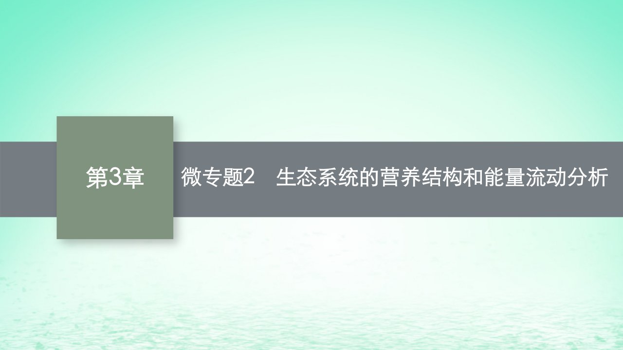 2022_2023学年新教材高中生物第3章生态系统及其稳定性微专题2生态系统的营养结构和能量流动分析课件新人教版选择性必修2