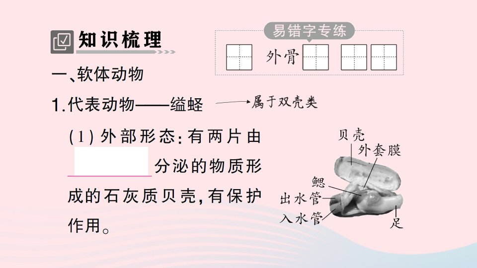 2023八年级生物上册第五单元生物圈中的其他生物第一章动物的主要类群第三节软体动物和节肢动物作业课件新版新人教版