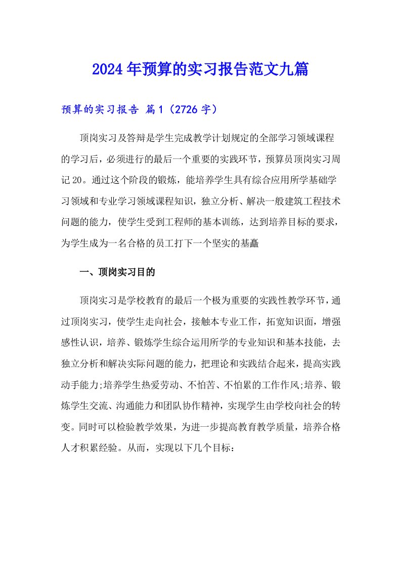 2024年预算的实习报告范文九篇