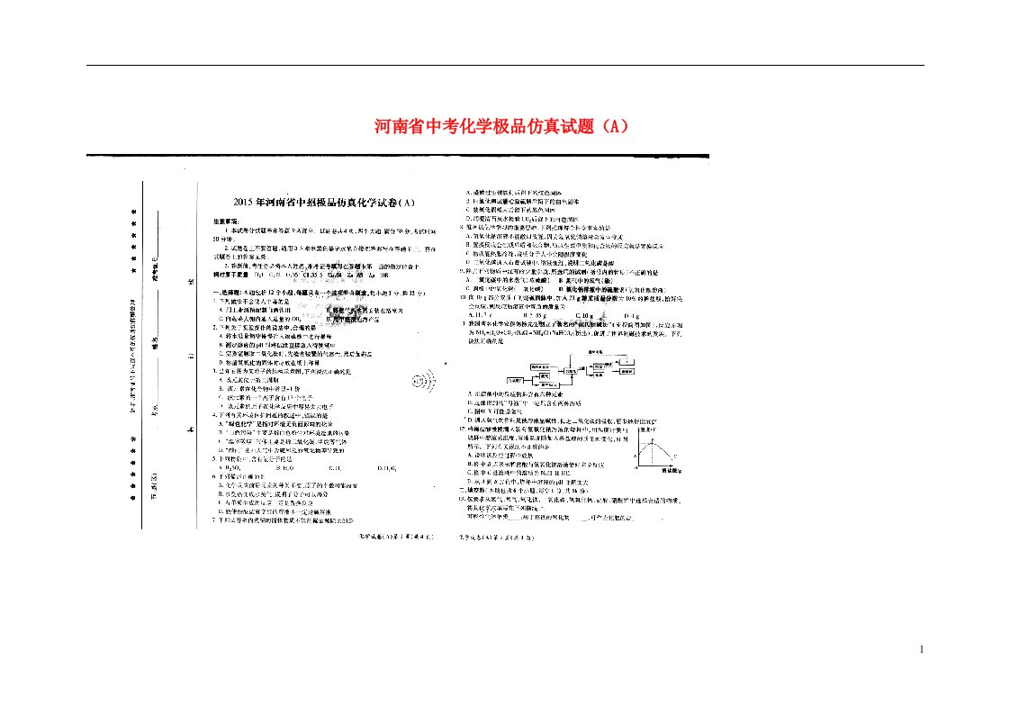 河南省中考化学极品仿真试题（A）（扫描版）