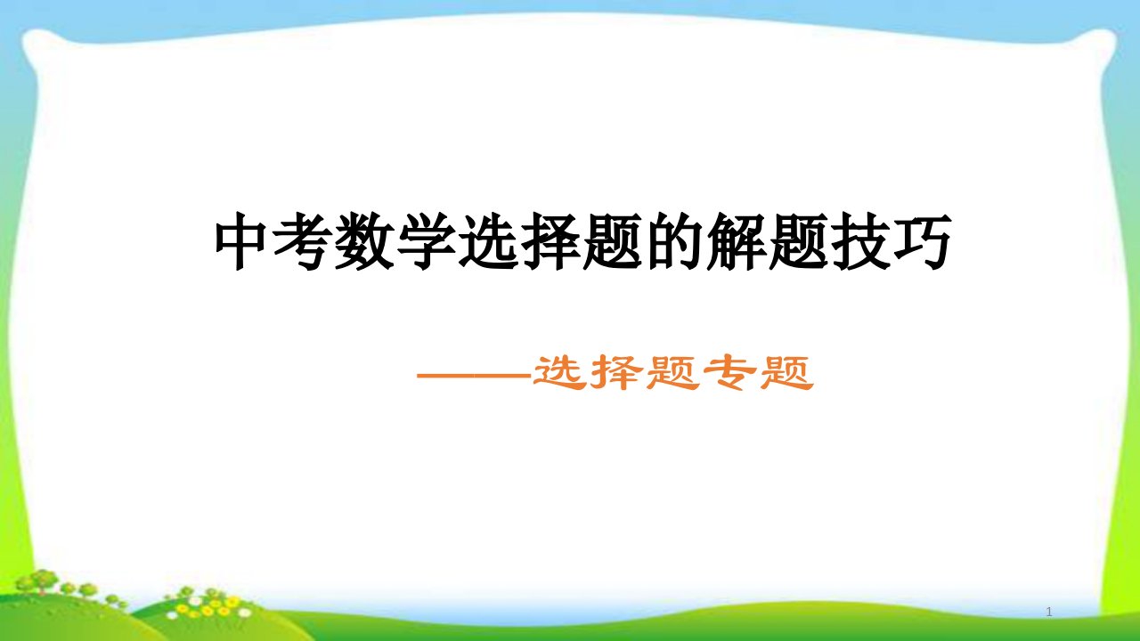 中考数学精讲精练总复习专题选择题完美课件