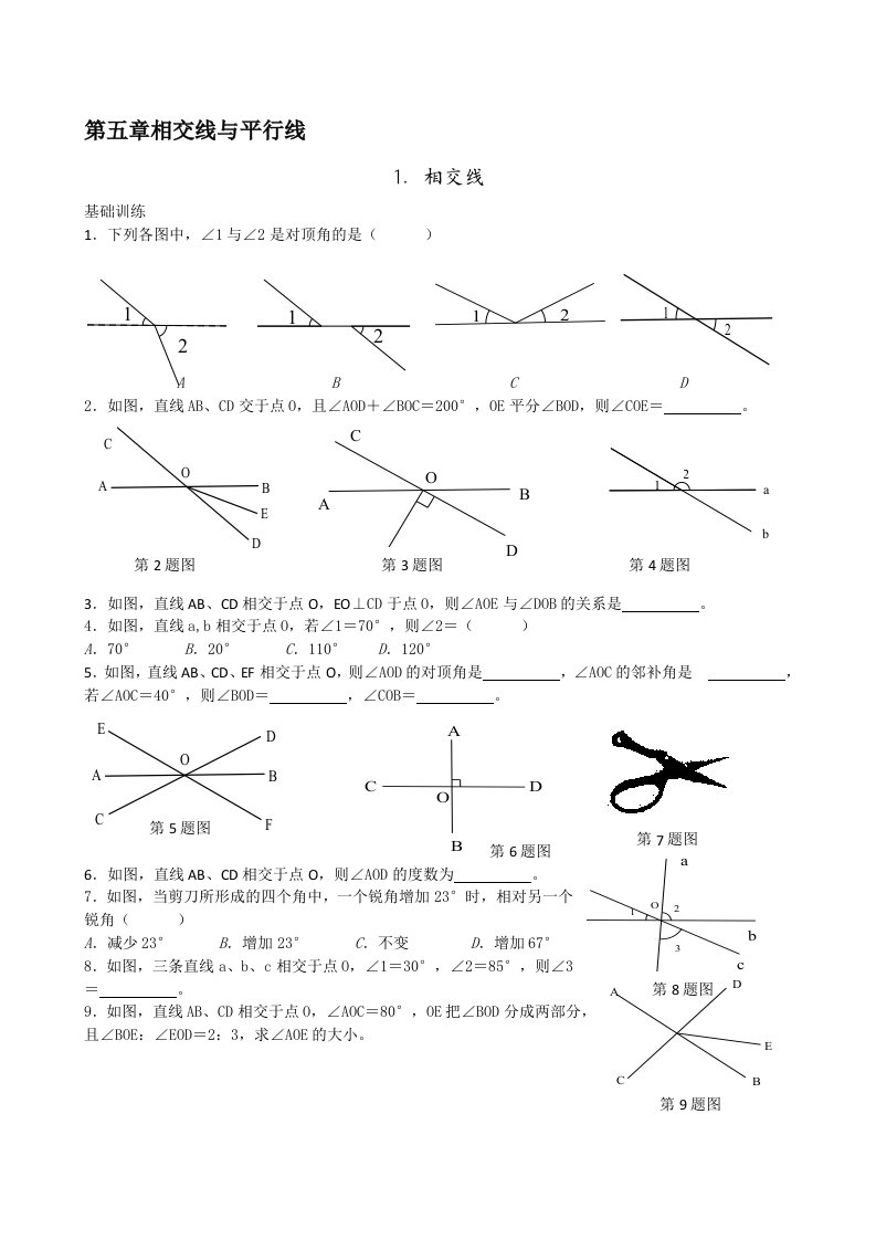 新观察七下