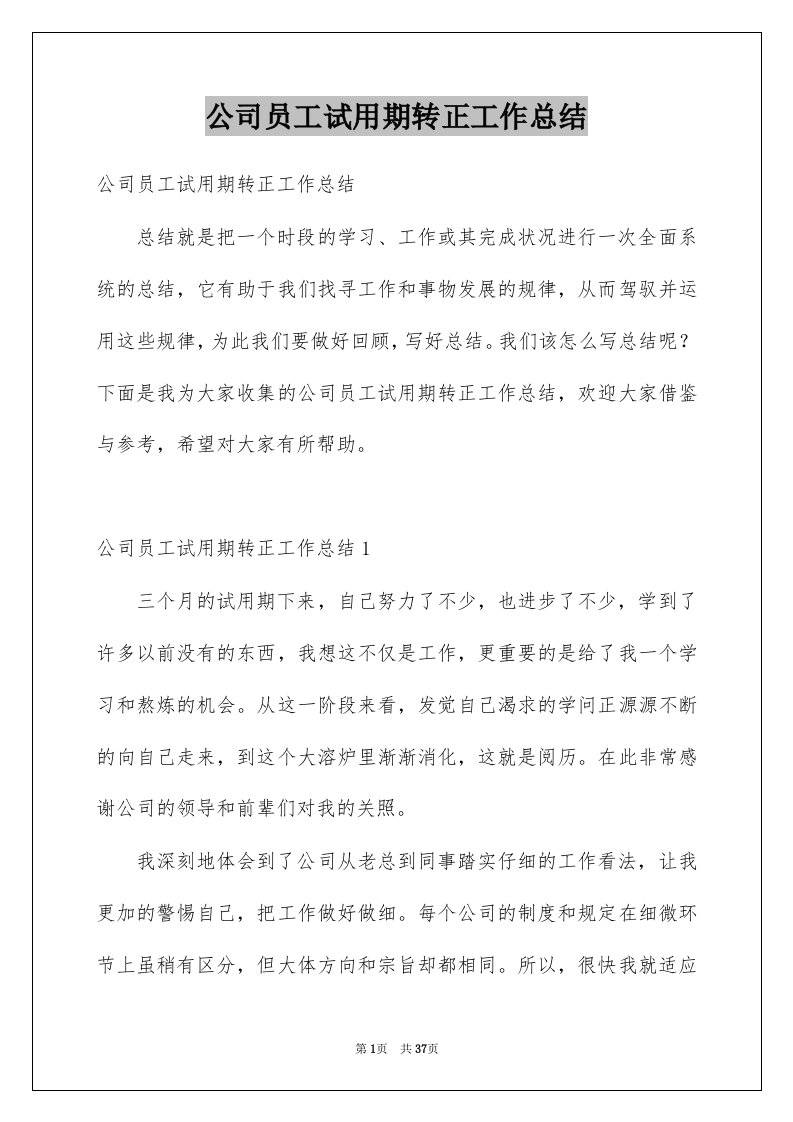 公司员工试用期转正工作总结例文3