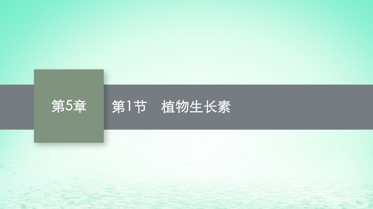 2022_2023学年新教材高中生物第5章植物生命活动的调节第1节植物生长素课件新人教版选择性必修1